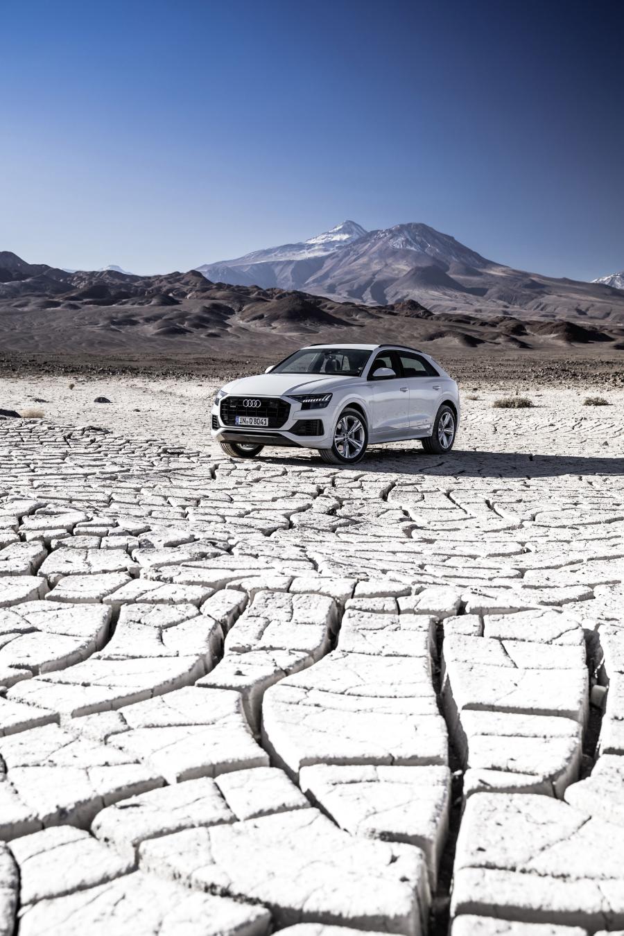  Audi Q8 55 TFSI Quattro 2018 года  (WW) (фото 29 из 42)